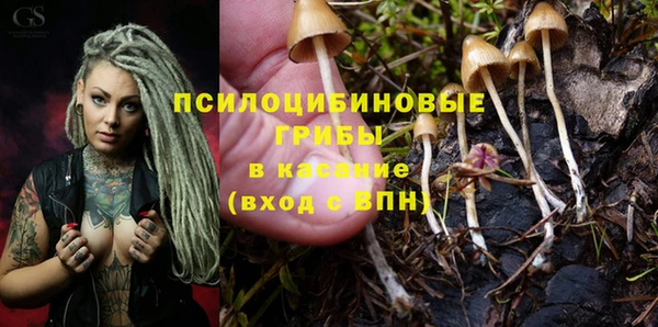 винт Алзамай