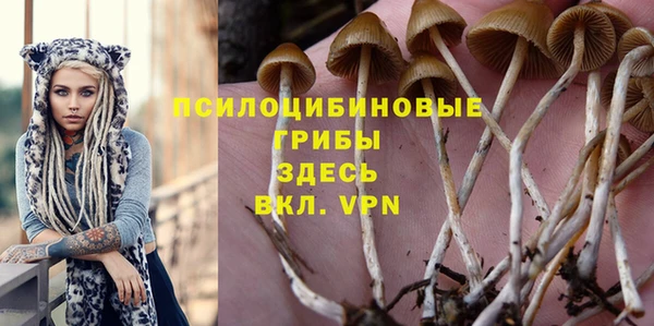 винт Алзамай