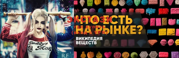 гашик Алексеевка
